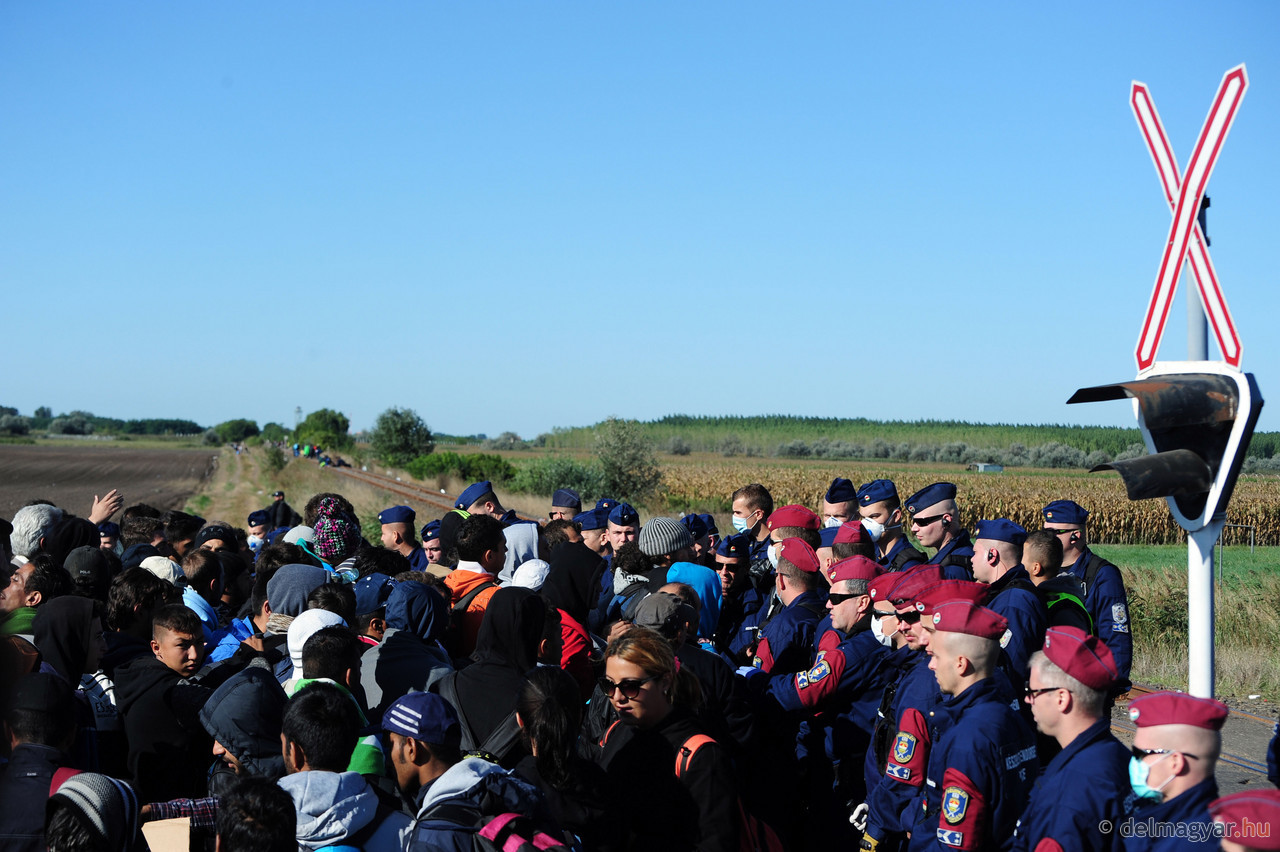 Nekik szabads�g kell – megint kit�rtek R�szk�n�l a vadak, a rend�r�ket k�vel dob�lt�k